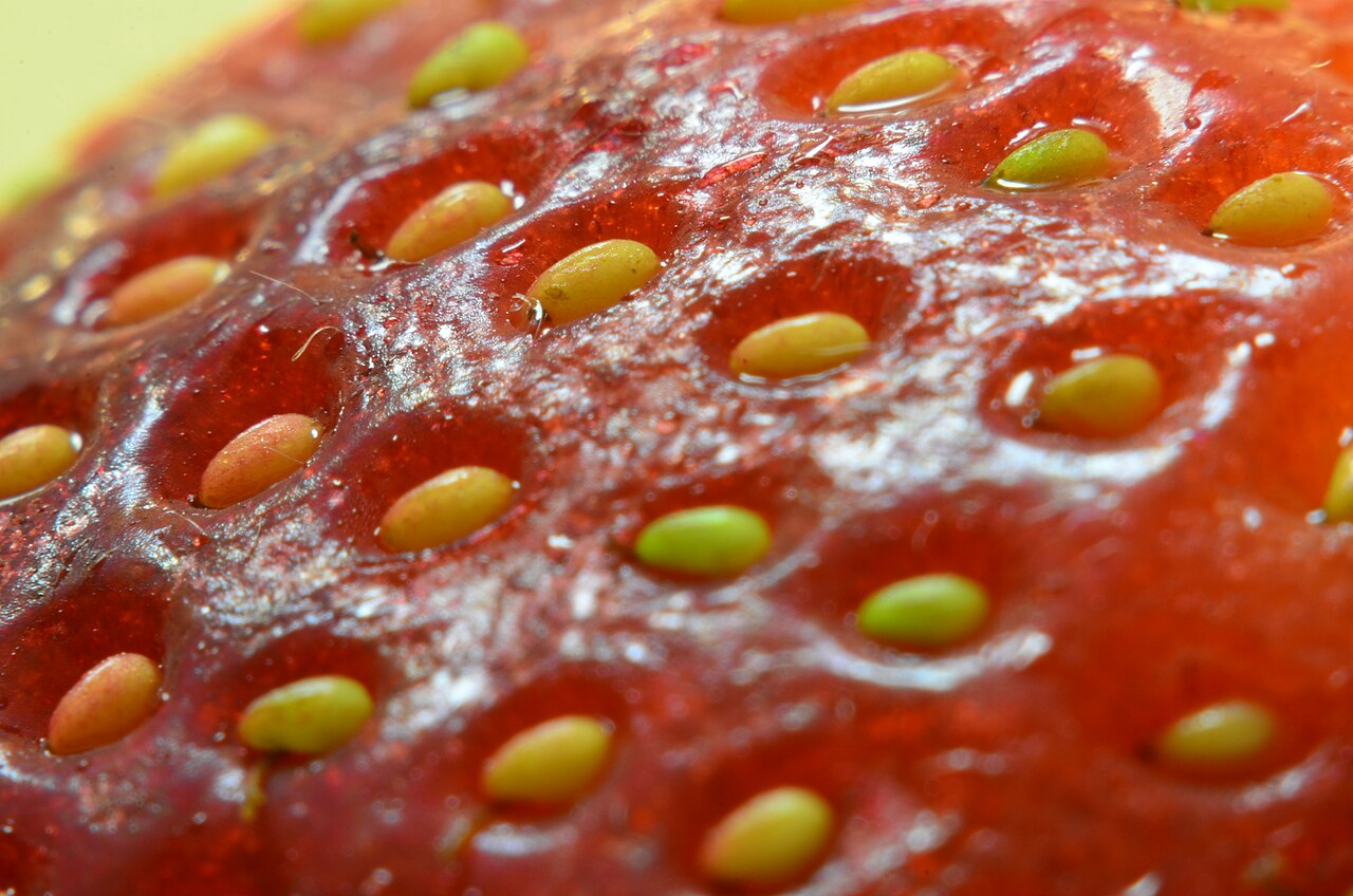 Close-up of yellow and green achenes embedded in a strawberry’s red surface.