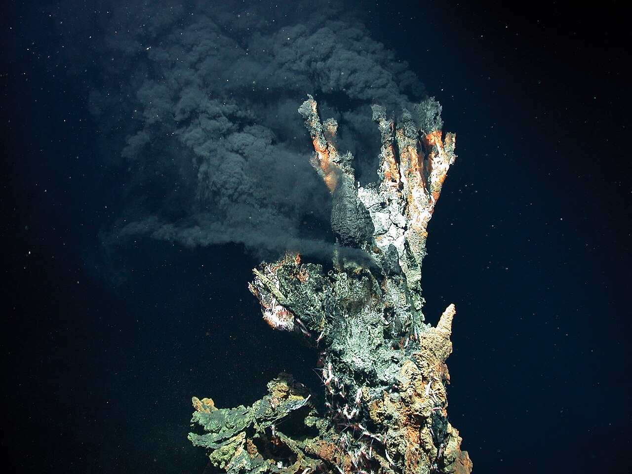 A branching black-smoker chimney releases a dense plume of dark mineral-rich fluid into the deep ocean.