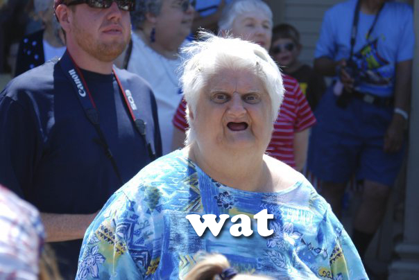 The old lady wat meme